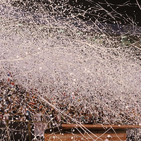 һ��ͼƬ��ѡ