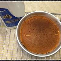 #���ǰ�ţ������������#+����֥ʿ����