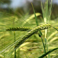 ��ġ�θ�����о���