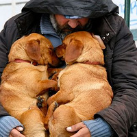 ��������õ����ѣ����������˺�