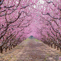 ���������ˣ����Ҹ���·