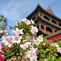 �ų����� �������ɣ�Ĺض�����