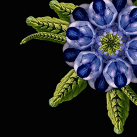 �����������̫��̫��.....�𺳣�