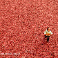 NG��Ӱ�����й�����Ʒ��