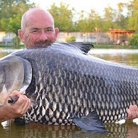 ���������Ƭ����68������� ���պ����