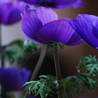 �ϻ���ת��