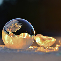 �������ݣ�ת��