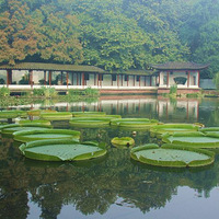 ��ׯ������