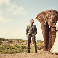 �������Ҫ������16���ر𳡺��µĻ�ɴ��