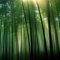 ������ó�������ת12����