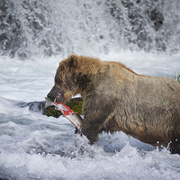 ����˹���������ಶ���������ʳ