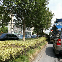 Ϊ�ܿ���԰·�ڣ���ѡ�����С����������԰