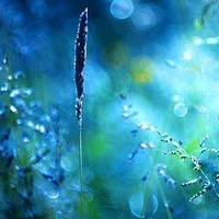 ���ǻ���ת��