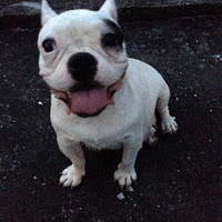 �о��Լ�������