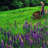 �Ҵ����������ŵ���ȥ����ɯ���Ŷ�ʽ����