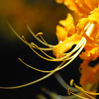 �ֵ��˰�����ʱ~~