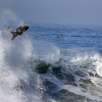  ���˿�������ս����