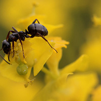 ��������֮�� ��ͷ�µĶ����̬������