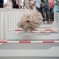 2014�й������ݣ������Ļ���----�������˶������ݼ�������ʽ��