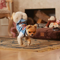 �����Ȯ�������ȱ��� �������������¼