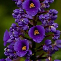 ���ǻ���ת��