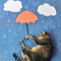 �ٶȶ��èè��ת��