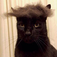 �ֶ�����è�䣨ת��