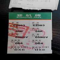 ��һ�����ڵϰݵ���Щ�����Լ�������è��