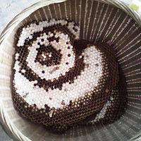 �ö���������ˬ������