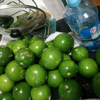 ���Ƶ�Ұ���������