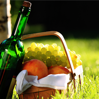 Ұ�ʹ������������