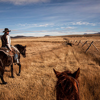 ����������������:������ҫ��� �ḻ����(��ͼ)