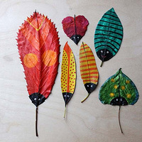 ÿһƬƮ�����Ҷ,��������