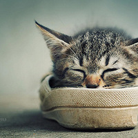 Ȥζ��Ӱ�������˹۲��ռ�