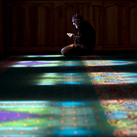 ����֮�� ��������