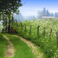 2014��10��������ֽ