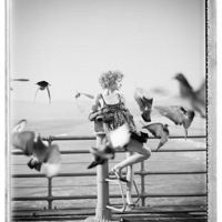 Dan Busta �ɵ�Ӱӡ��