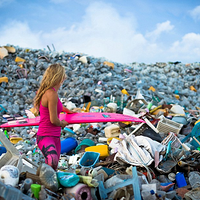 �㲻֪������������