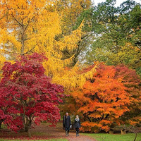 ����Ϯ�� �������������ɹ�����ﾰ