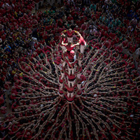 ���������С�������������