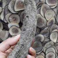 ��һֱ������ô��