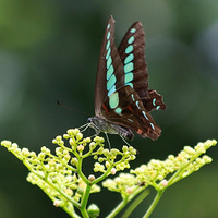  �����������