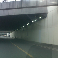 ���ɵ�ʦ�����������