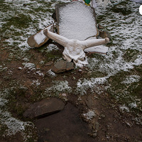 �ƺ����ϵĹ�ҵ�˰�