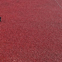 ����֮�硱���ռ� ��ɹ����׳��