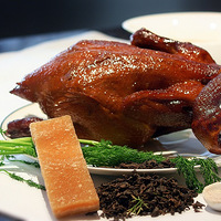 л���涼��Ī��ɽ��ץ���� ��ҲҪ����һ�����ּ���