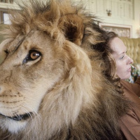 ��ʨ�ӵļ�ͥ