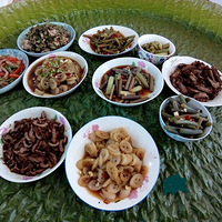 ��Ҷ�ϵ����ˣ�