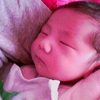 ������Ѫ~���Ź���������˳��ʷ