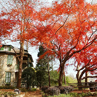 ���ȵ����죬����������Ҫ���� 